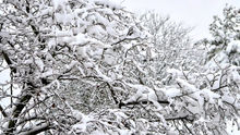 Snow expected for Lake Huron and Georgian Bay