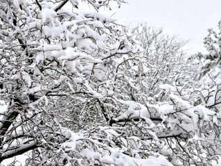 Snow Warning: HR, But Make It Fabulous