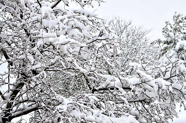 Schnee