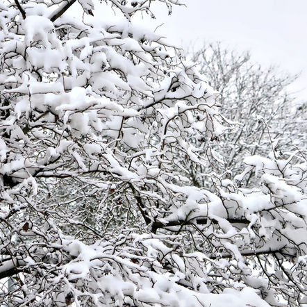 <일본교포 김민호의 파란신호등> 눈 오는 겨울밤에 