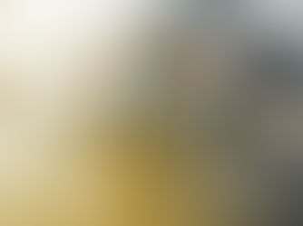 Five people in athletic wear holding a plank position in a gym, facing each other on a rubber mat. Warm lighting, focused teamwork.