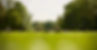 People in Park