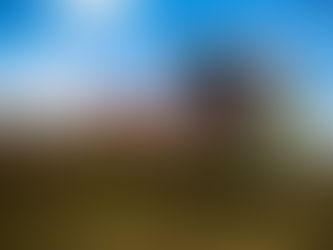 Random Thoughts About Farming