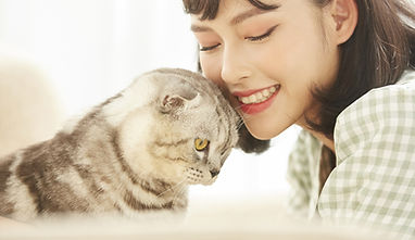 女性 ライフスタイル ペット