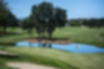 Golf-Feld
