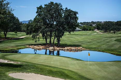 Golf Course Landscape