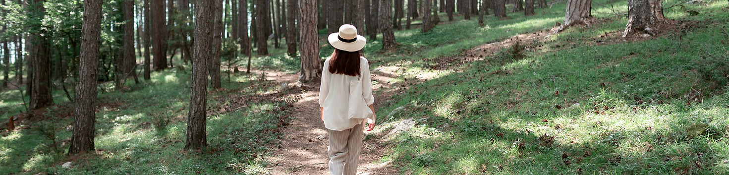 Forest Walking