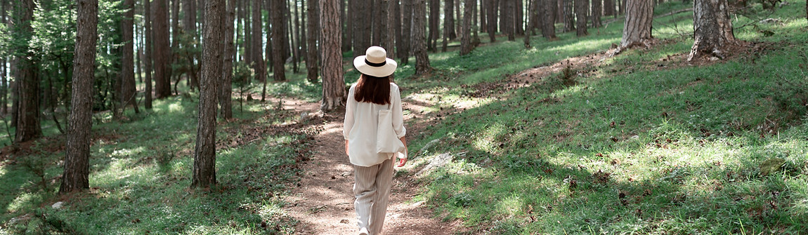 Forest Walking
