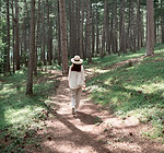 Woman Walking in Forest