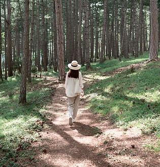 Femme marchant en forêt