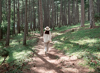 Forest Walking