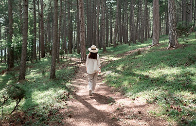 Waldweg