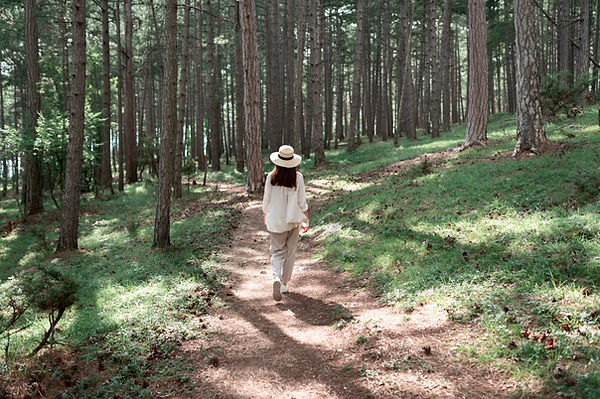 Women walks in the woods
