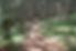 Femme marchant en forêt