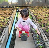 Kid Looking at Plant Pot