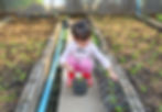 Kid Looking at Plant Pot