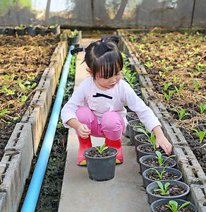 Un enfant regarde un pot de fleurs