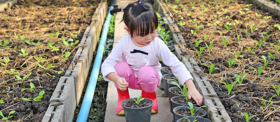 Ekološke navike koje možemo naučiti decu