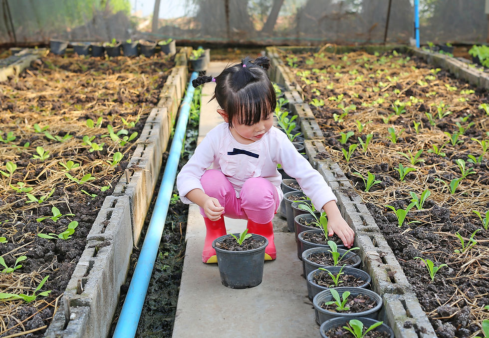 Criança olhando para um vaso de plantas