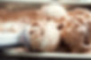 Ice Cream Scoops