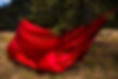 Red Fabric Under a Tree