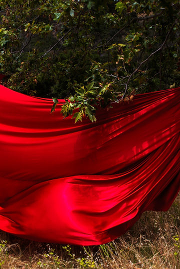 Red Fabric Under a Tree