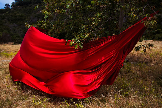 Roter Stoff unter einem Baum