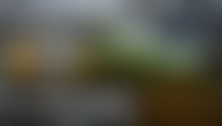 First Missed Payment to Court Order: The Bankruptcy Timeline