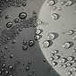 Water Drops