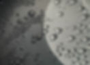 Water Drops