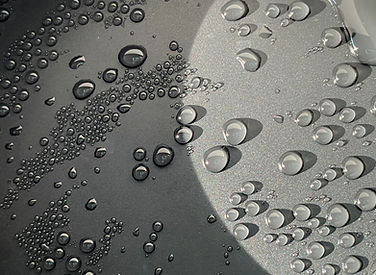 Water Droplets Closeup
