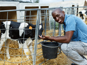 What's your Mission? Volunteer abroad.