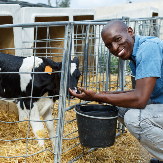 Where Are the Black Cattlemen?