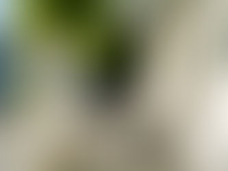 a white front porch with rocking chairs and hanging ferns