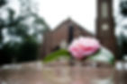 Rose on grave
