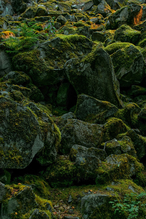 Moss-Covered Rocks