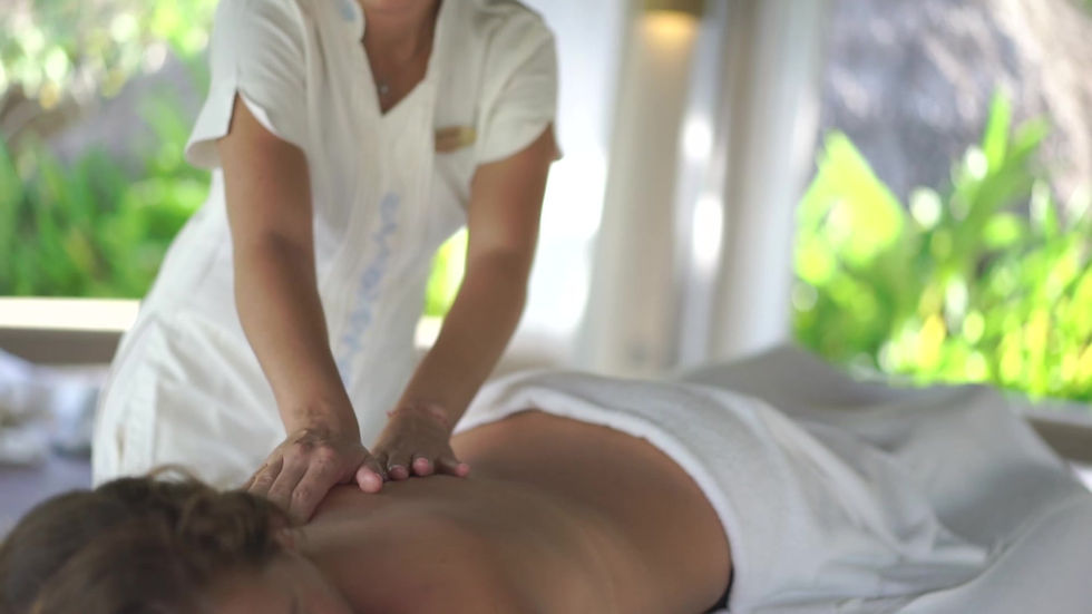 Spa and Wellness Retreat