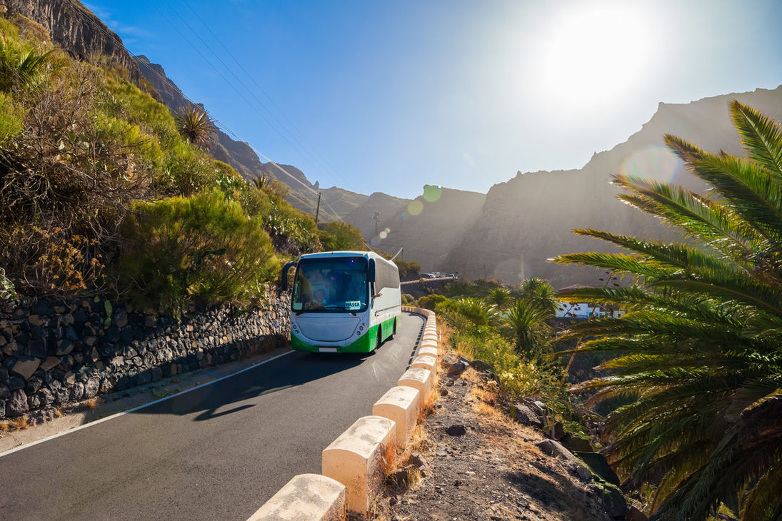 Bus