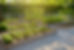 Community Kitchen Garden