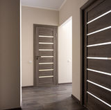 Modern interior repaint with smooth walls and contemporary doors in Boca Raton