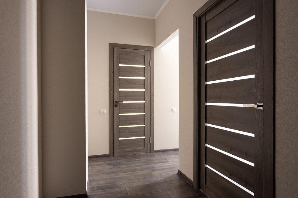 Modern Wooden Doors
