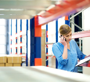 Stock Taking in the Warehouse