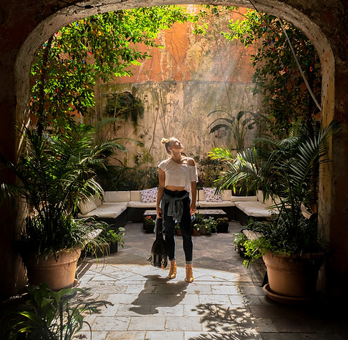 Urban Garden