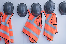 snake safety training