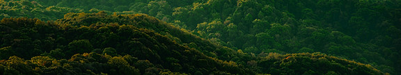 Green Mountains
