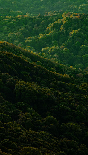 Green Mountains