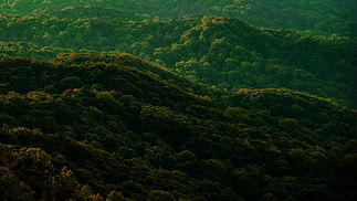 Montagnes vertes