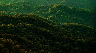 Green Mountains