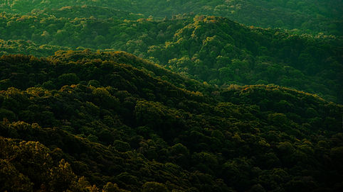 Montanhas Verdes