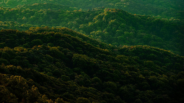 Montanhas Verdes